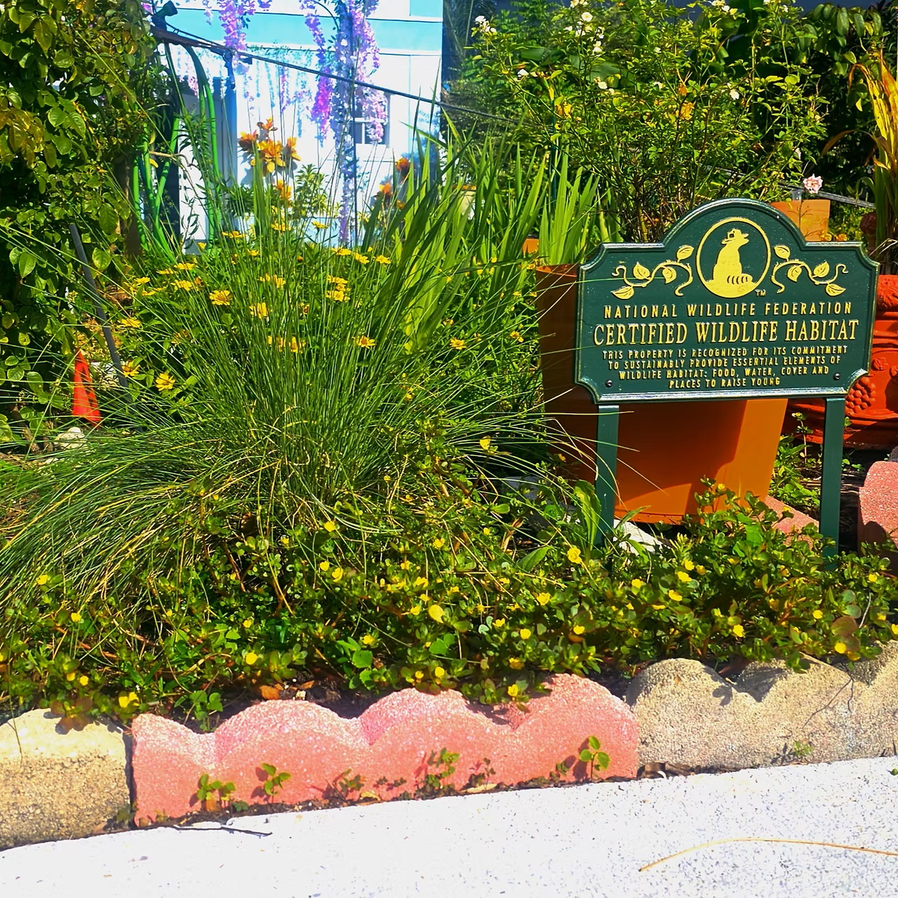 Native and Florida-friendly landscape